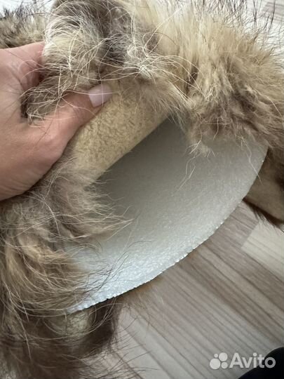 Шкура енота