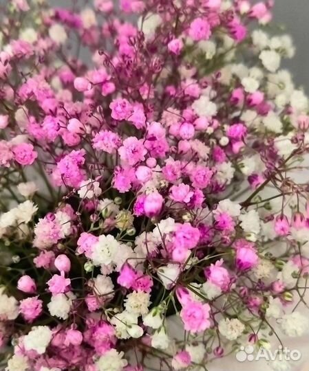 Маленькая коробочка с гипсофилой