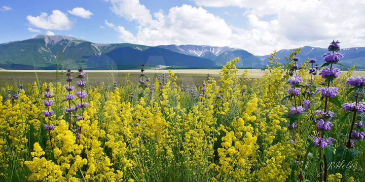 Участок 1055 га (СНТ, ДНП)