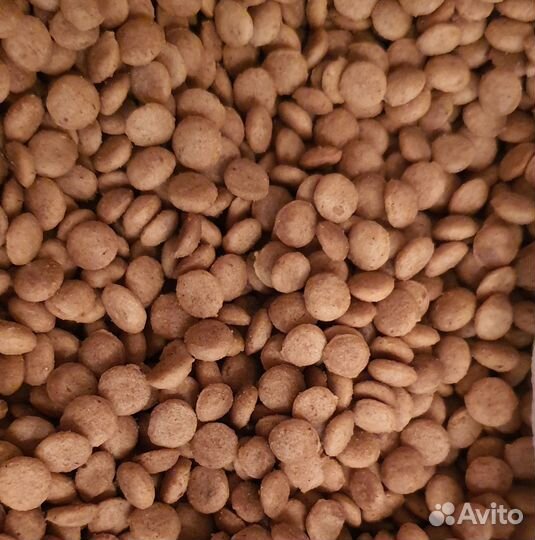 Корм для кошек и собак