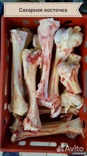 Мясо и кости для собак