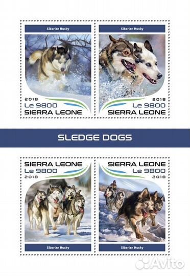Сьерра-Леоне, 2018. (18313) Фауна, собаки (мл+блок