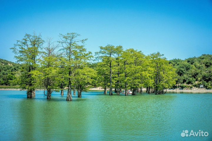 Экскурсионный тур Сукко