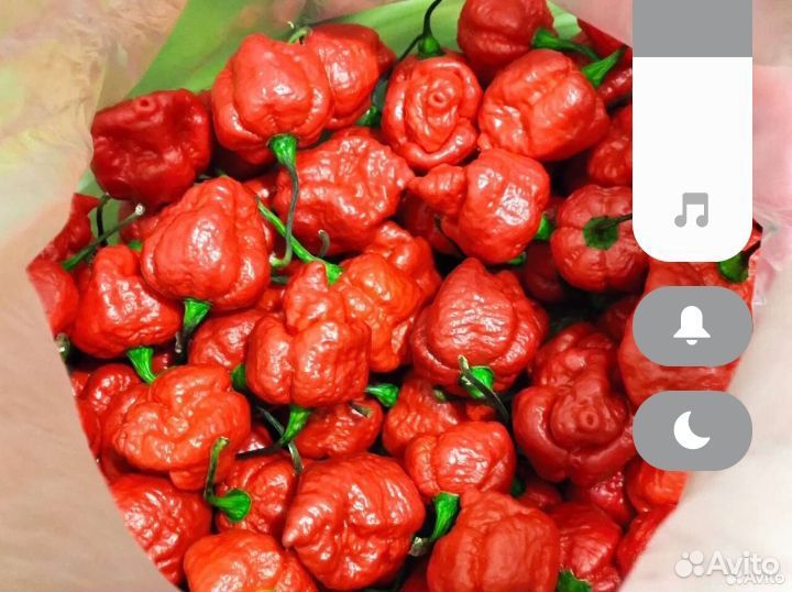 Мега острый соус из перца Каролина Рипер