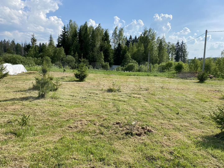 Участок 10,2 сот. (СНТ, ДНП)