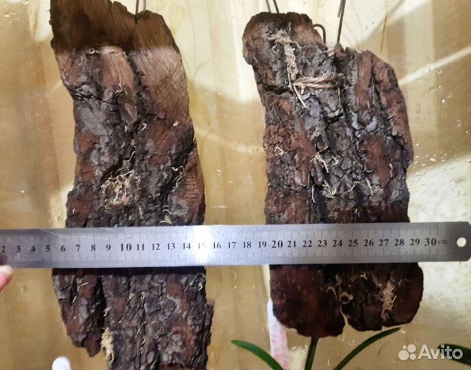 Блок для орхидей.Кора дуба и сосны