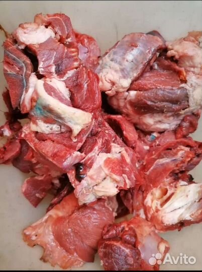 Говядина для собак