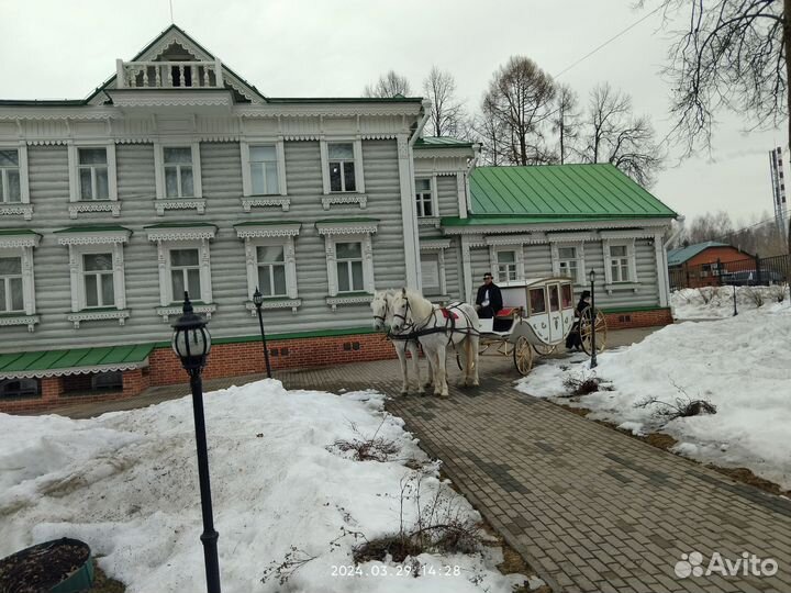 Прокат лошадей-обучение