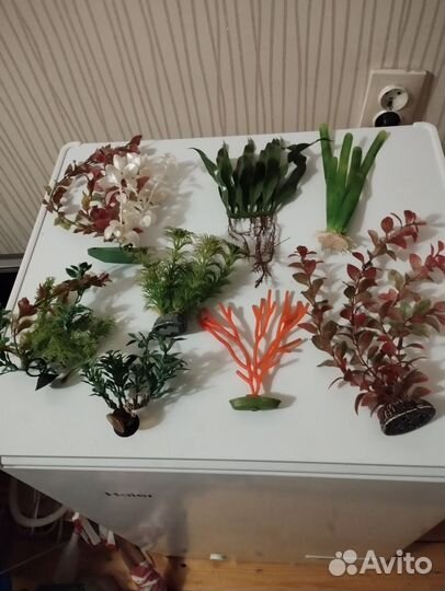 Все для аквариума