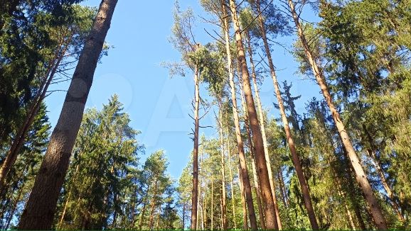 Участок 7 сот. (ИЖС)