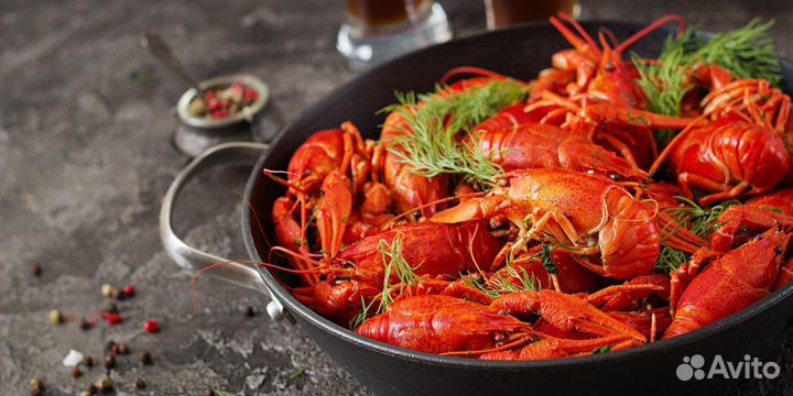 Раки крымские живые и варёные