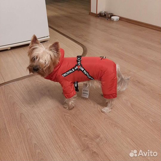 Комбинезон демисезонный на собачку