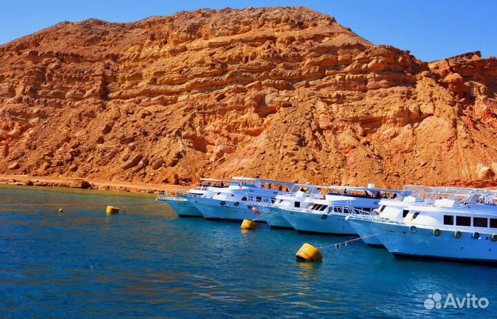 Go в Шарм-Эль-Шейх 7 дн