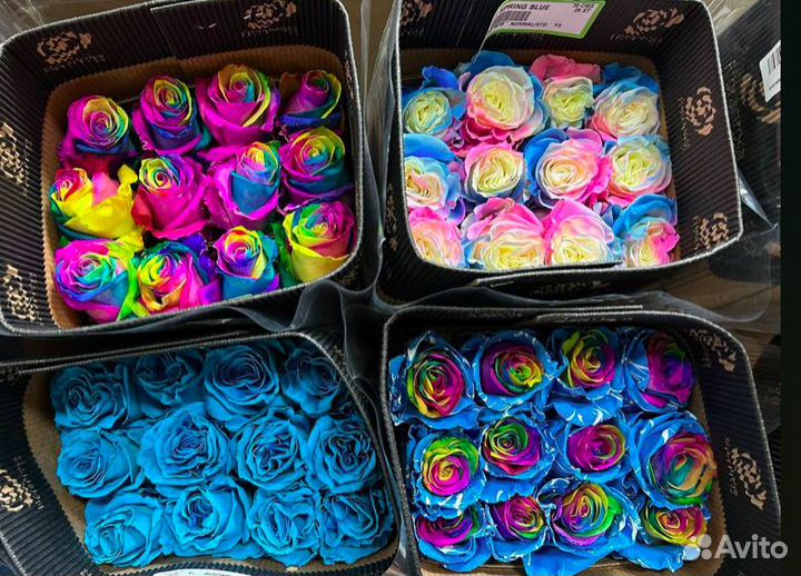 Роза оптом Россия, Кения цветы зелень