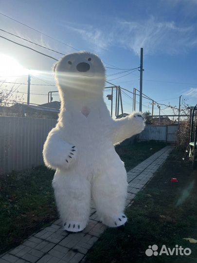 Белый мишка поздравление