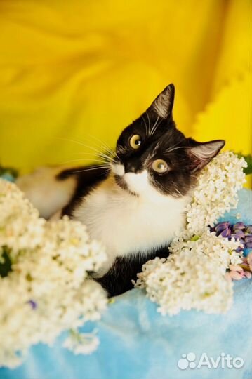 Люсенька подросток 6 месяцев