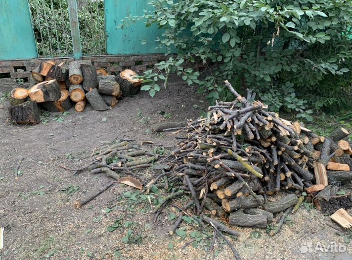 Спил деревьев частник