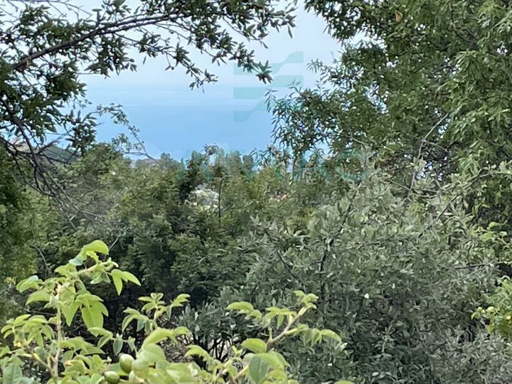 Участок 20 сот. (ИЖС)