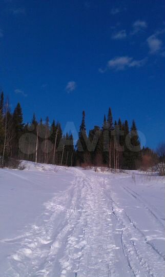 Дача 20 м² на участке 4 сот.