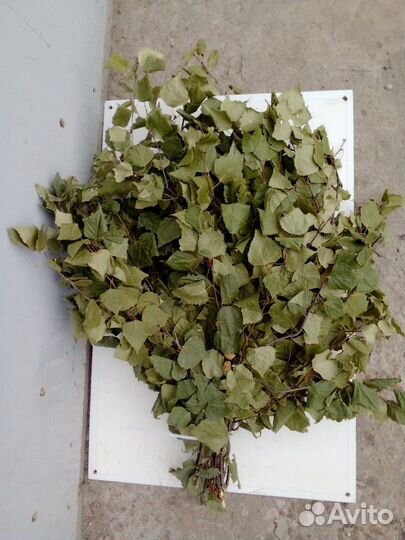 Веник.,березовый