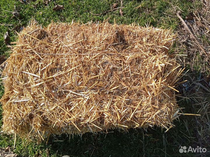 Солома в тюках