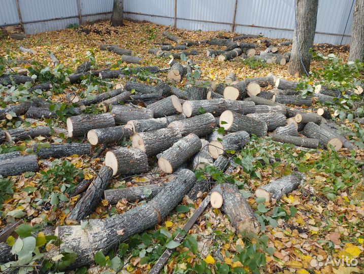 Дрова чурбаками липа самовывоз
