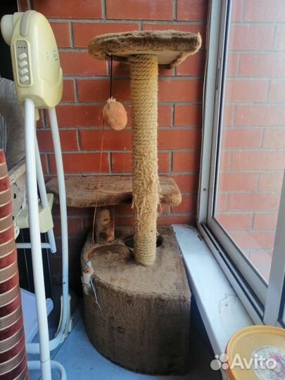 Когтеточка корм лоток все за 3