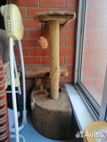 Когтеточка корм лоток все за 3