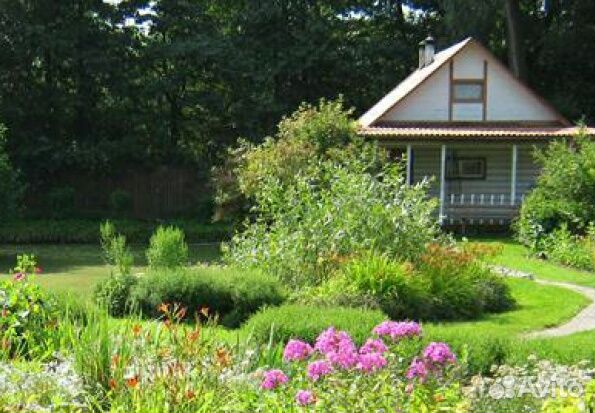 Сдам дом посуточно