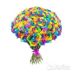 Роза крашенная радужная