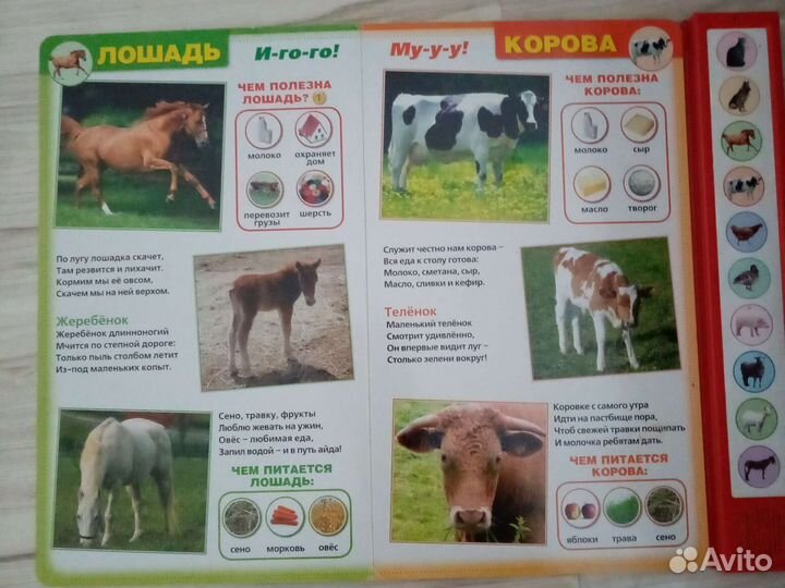 Развивающие книги для детей