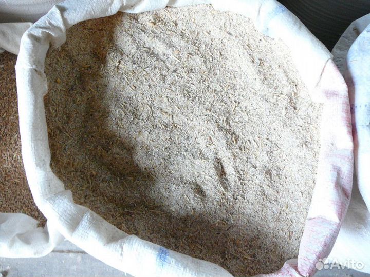 Зерно овес, ячмень, пшеница, дробленка, комбикорм