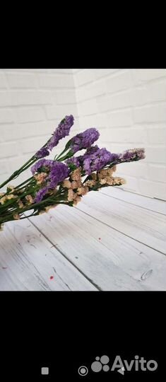 Статица стабилизированная