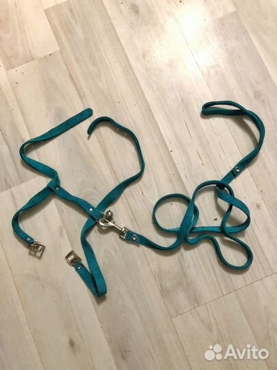 Поводок шлейка для кошек и собак