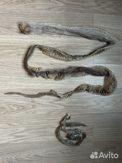 Змеиный выползок