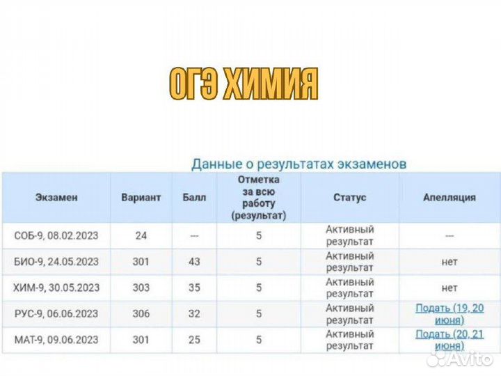 Репетитор по Химии огэ и егэ