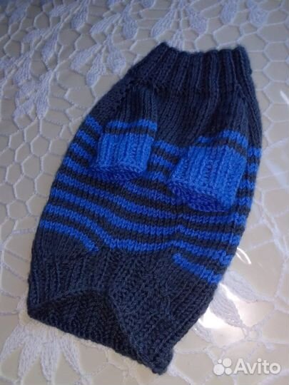 Одежда для животных