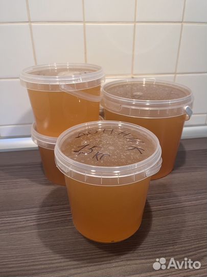 Натуральный донниковый мед с Алтая