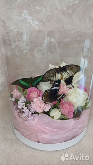 Свадебные букеты с живыми бабочками