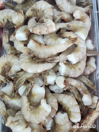 Тигровые креветки