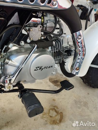 Skyteam T-Rex 125