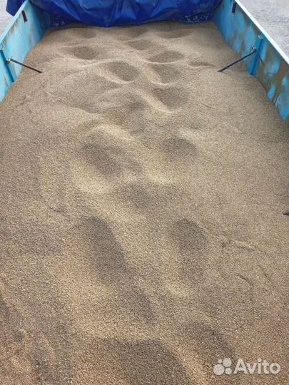 Грузоперевозки а/ в камаз сельхозник с прицепом,ка