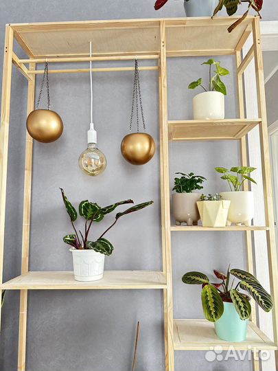 Полки стеллажи для цветов и не только