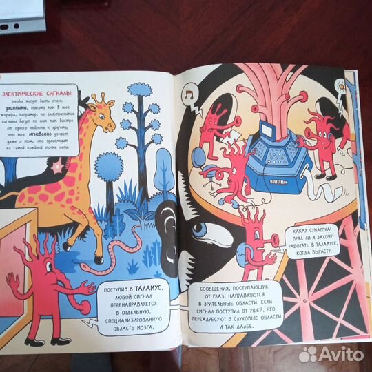 Книга Мозгоград