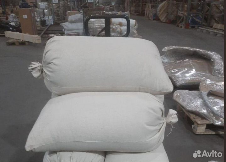 Доставка семян сосны