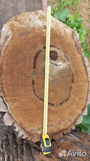 Дубовая колода для рубки мяса / пень