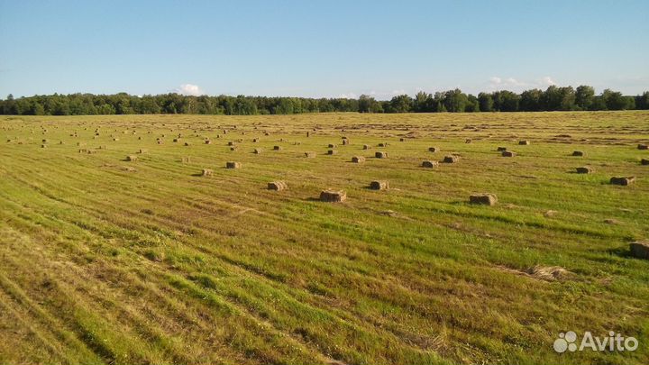 Сено и солома в тюках и рулонах