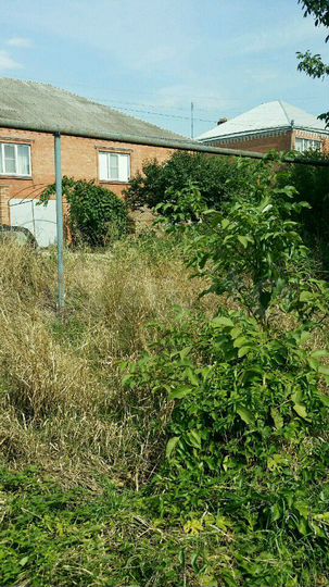 Участок 15 сот. (ИЖС)