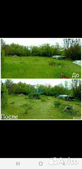 Пакос травы