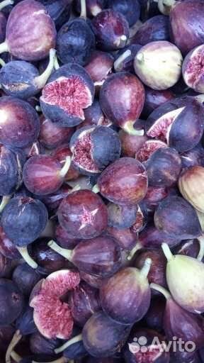 Саженцы черенки инжира. Самый урожайный инжир